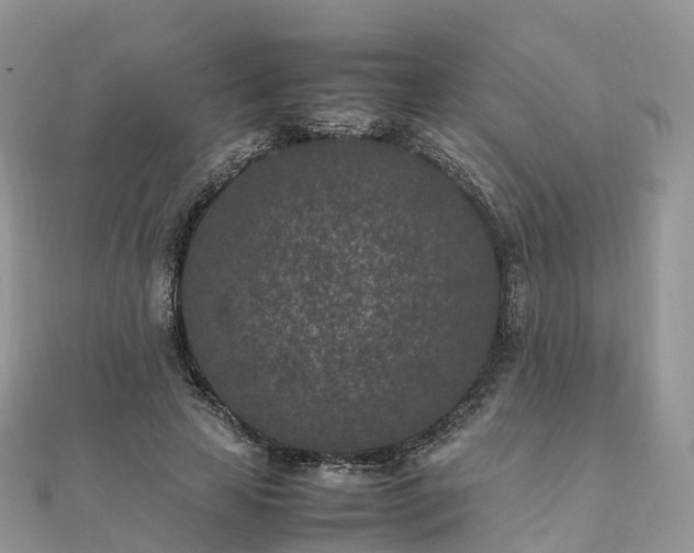 X0000111850641200907301111