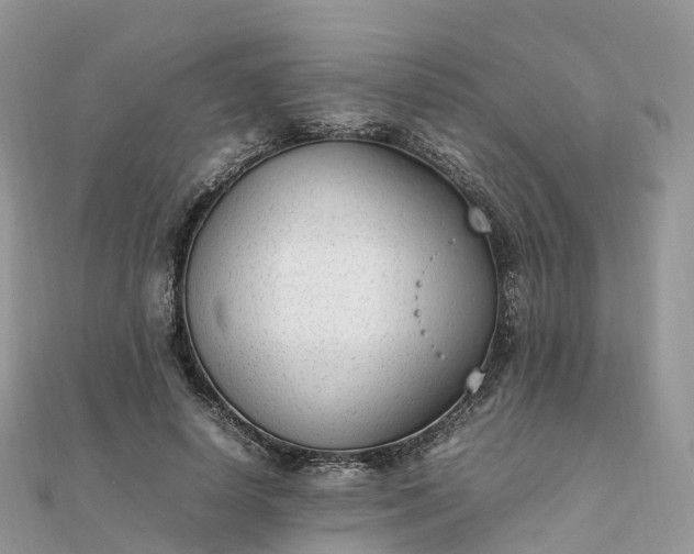 X0000111850642200907301111