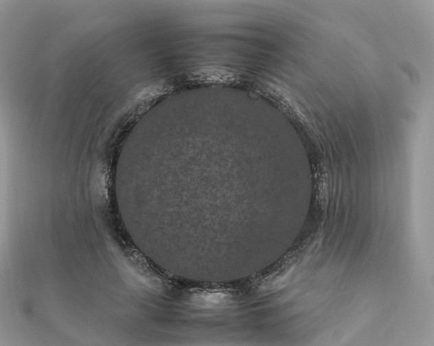 X0000111850643200907301111
