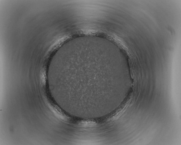 X0000111850644200907301111