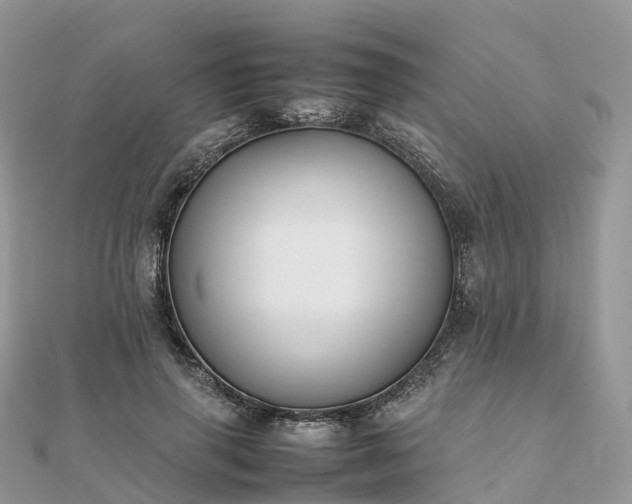 X0000111850645200907301111