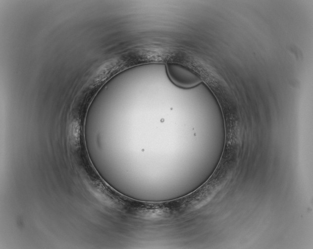 X0000111850646200907301111