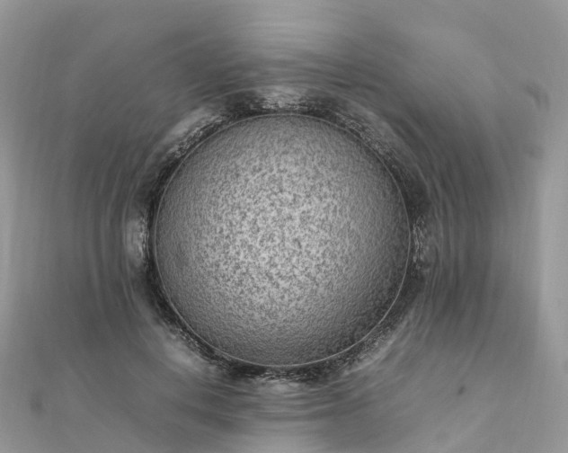 X0000111850648200907301111