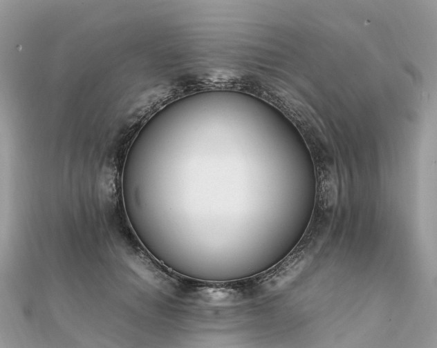 X0000111850654200907301111