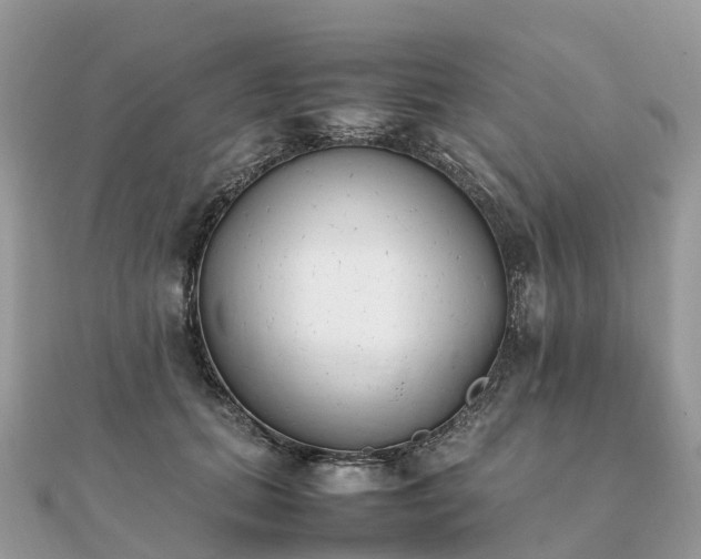 X0000111850655200907301111