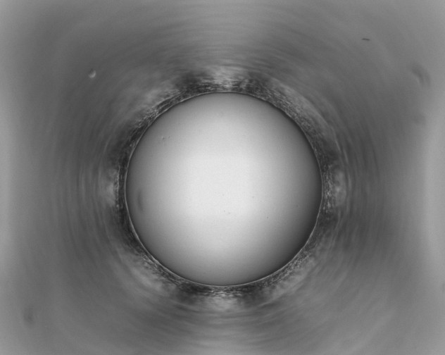 X0000111850656200907301111