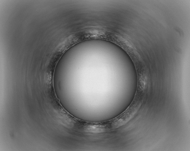X0000111850657200907301111