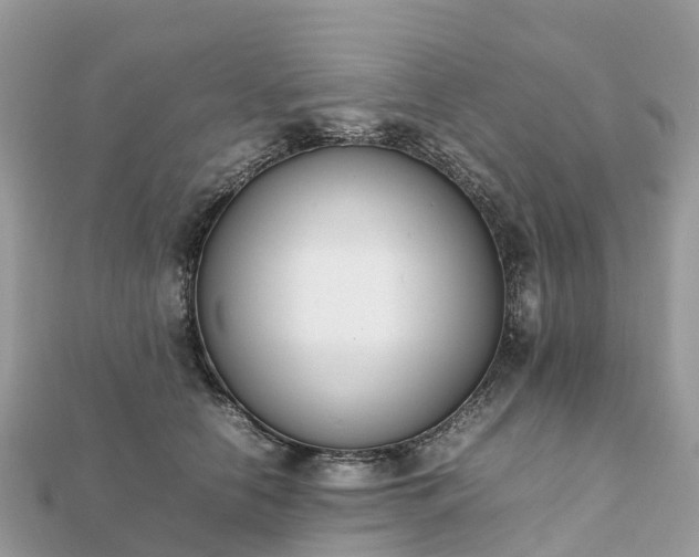 X0000111850658200907301112