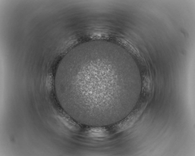 X0000111850659200907301112