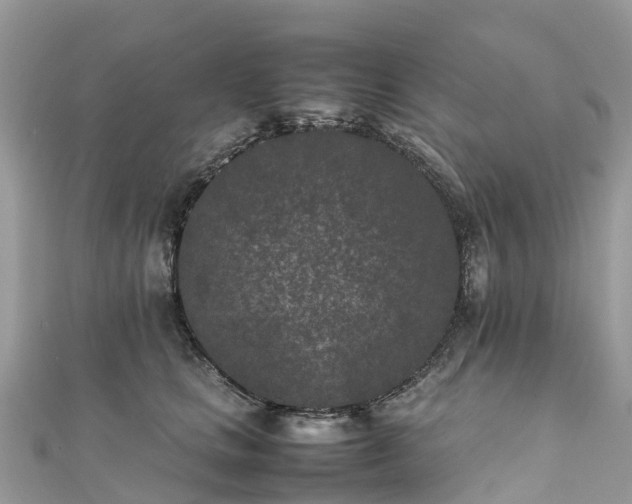 X0000111850661200907301112