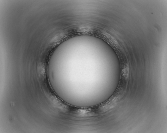 X0000111850662200907301112