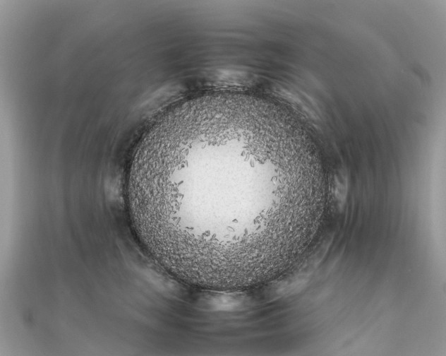 X0000111850663200907301112