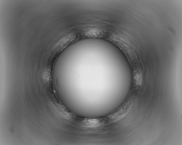 X0000111850665200907301112