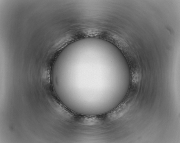 X0000111850666200907301112