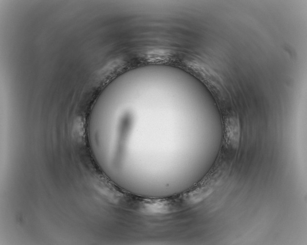 X0000111850667200907301112
