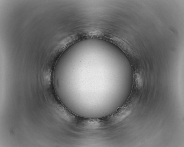 X0000111850668200907301112