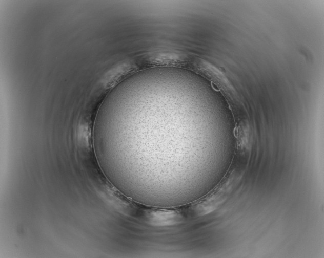 X0000111850669200907301112