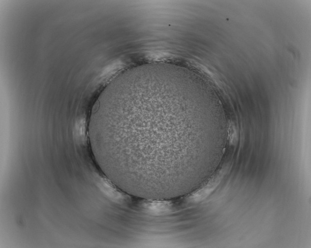 X0000111850670200907301112