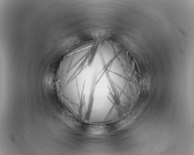 X0000111850671200907301112