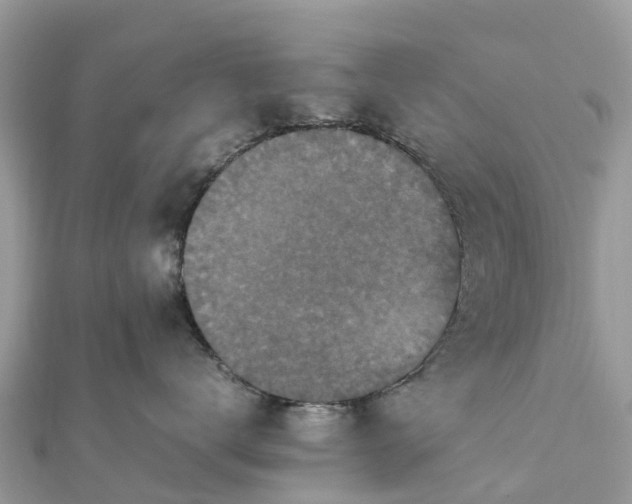 X0000111850672200907301112