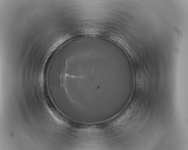 X0000111850674200907301111