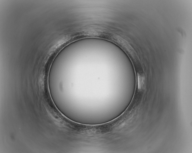 X0000111850675200907301111
