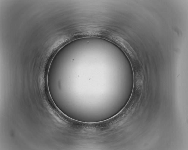 X0000111850677200907301111