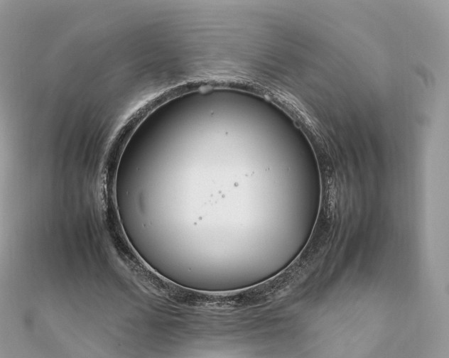 X0000111850680200907301111