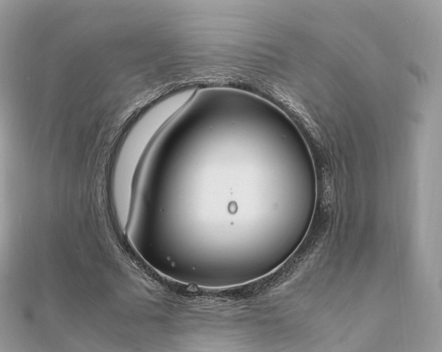 X0000111850681200907301111