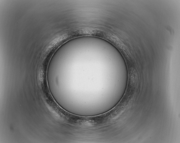 X0000111850683200907301111