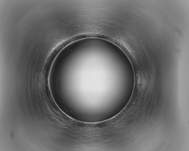 X0000111850684200907301111