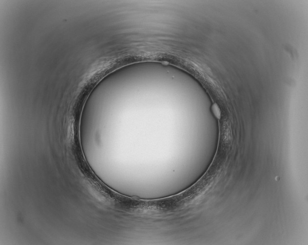 X0000111850685200907301111