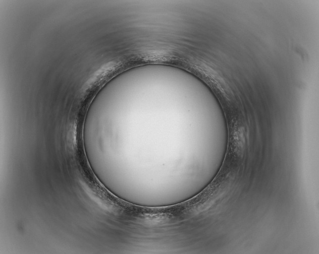 X0000111850686200907301111