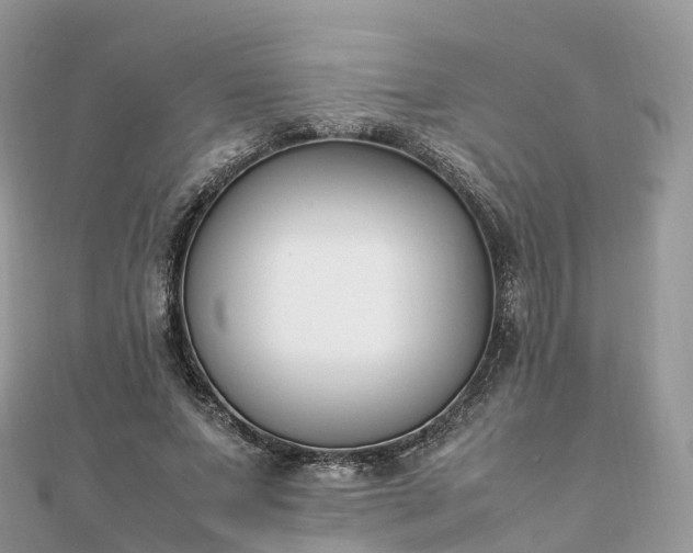 X0000111850687200907301111