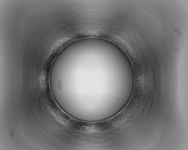 X0000111850688200907301111