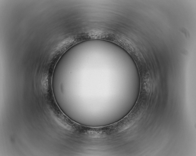 X0000111850690200907301111