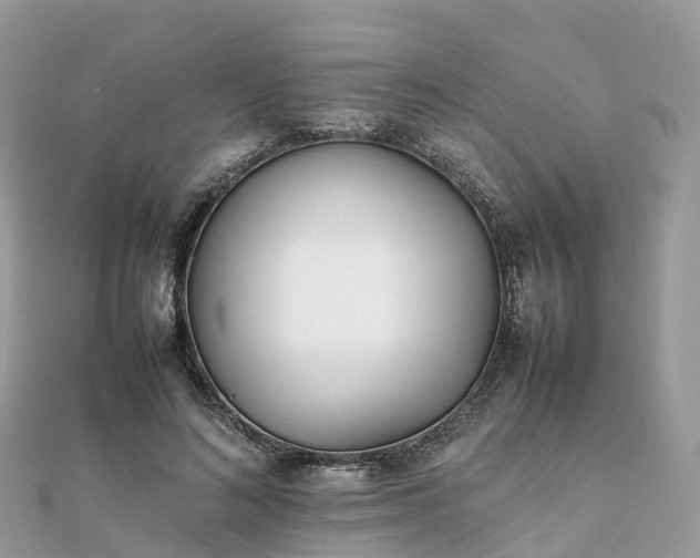 X0000111850692200907301111