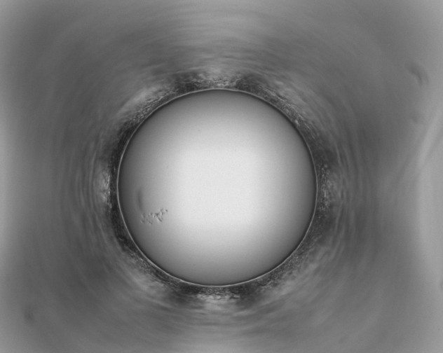 X0000111850693200907301111