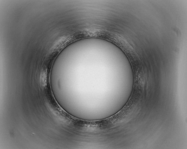 X0000111850694200907301111