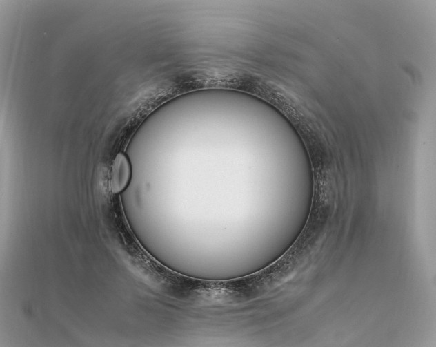X0000111850695200907301111