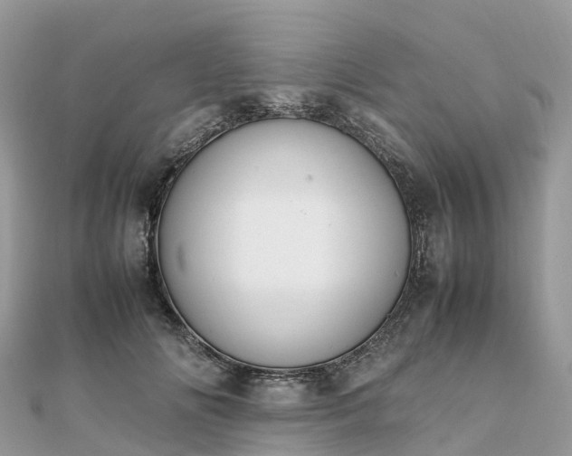 X0000111850702200907301111