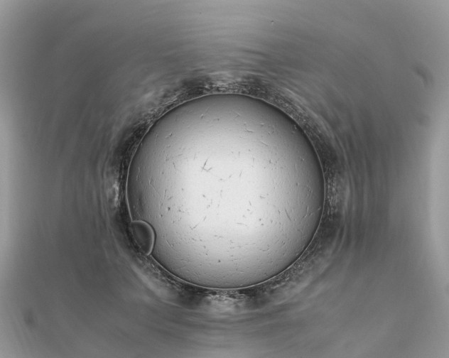 X0000111850703200907301111