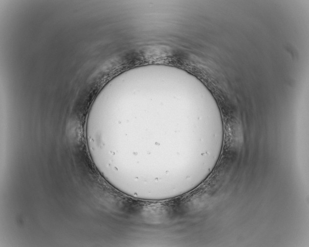 X0000111850705200907301111