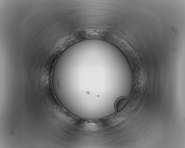 X0000111850706200907301111