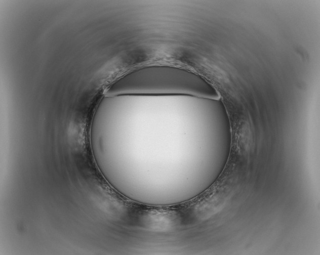 X0000111850708200907301111