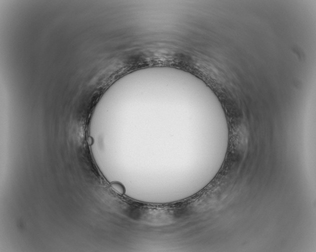 X0000111850709200907301111