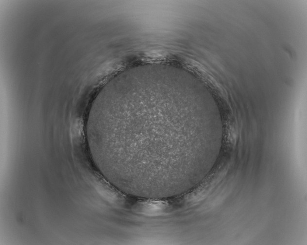 X0000111850711200907301111