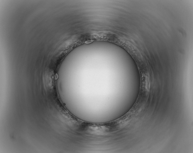X0000111850712200907301111