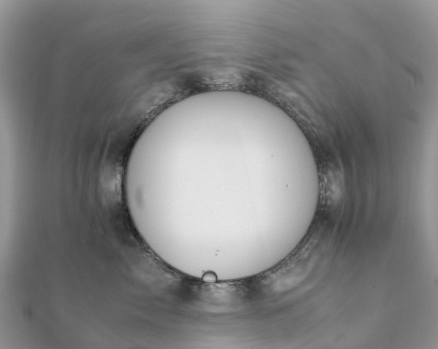 X0000111850717200907301111