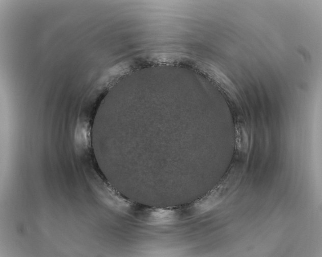X0000111850718200907301110